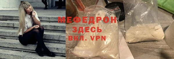 сатива Каменка