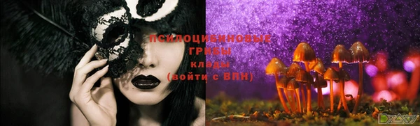 сатива Каменка