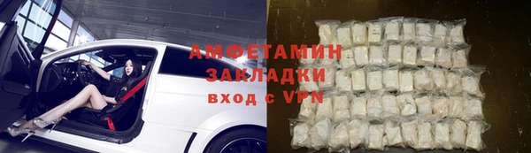 сатива Каменка