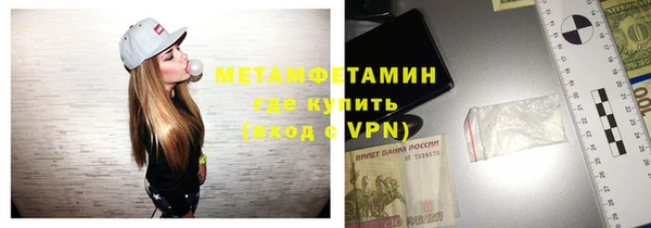 сатива Каменка