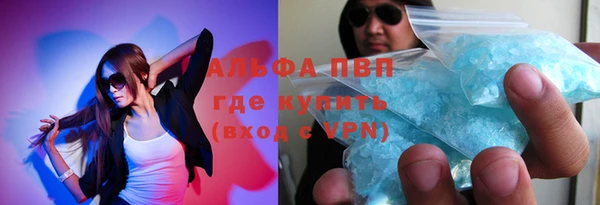 сатива Каменка