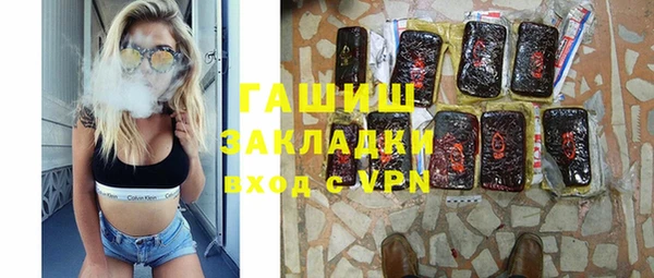 сатива Каменка