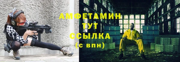 сатива Каменка
