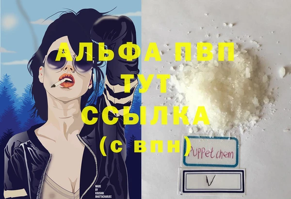сатива Каменка