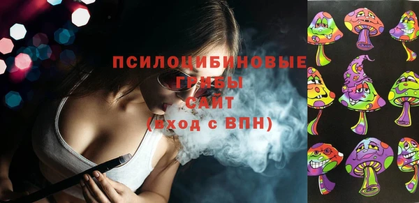 сатива Каменка