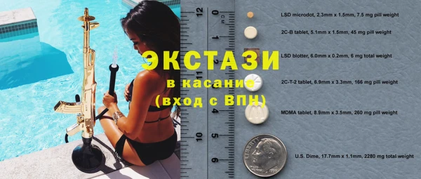 сатива Каменка