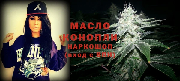 сатива Каменка