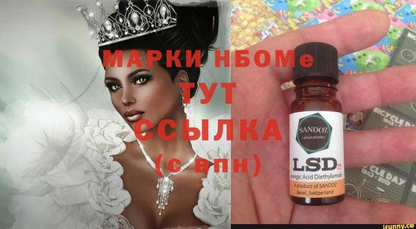 сатива Каменка