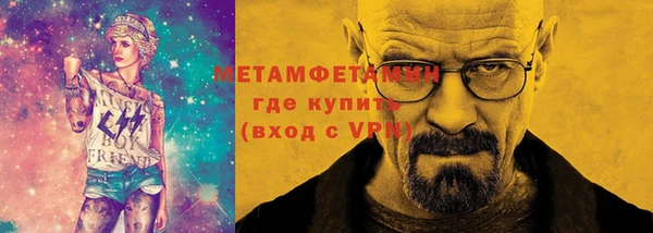 сатива Каменка