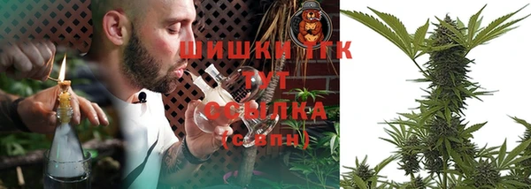 сатива Каменка