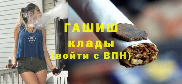 сатива Каменка
