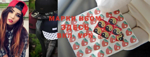 сатива Каменка